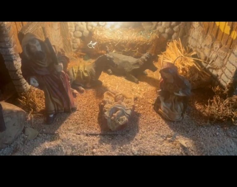 Belén de Carlos Gallardo